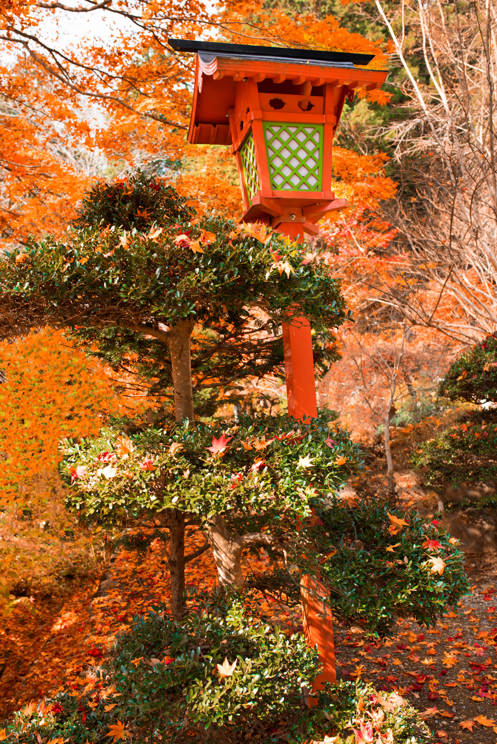 Autumn (Aki)